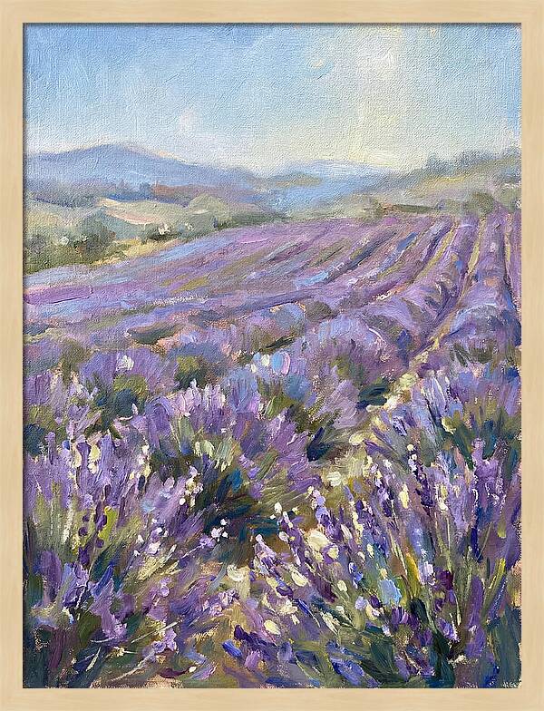 Vibrant Lavender Landscape