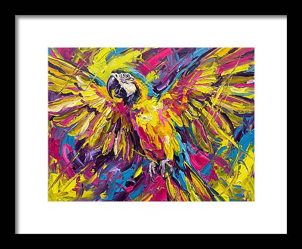 Vibrant Macaw In Flight