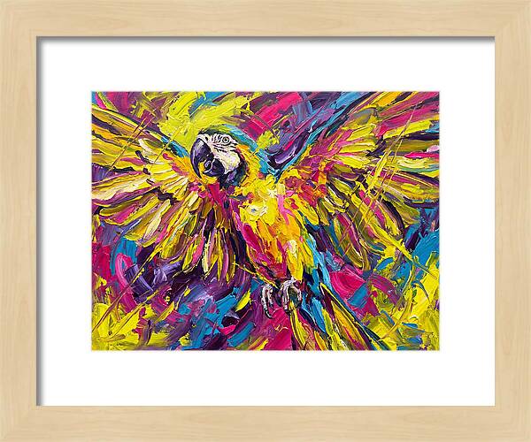 Vibrant Macaw In Flight