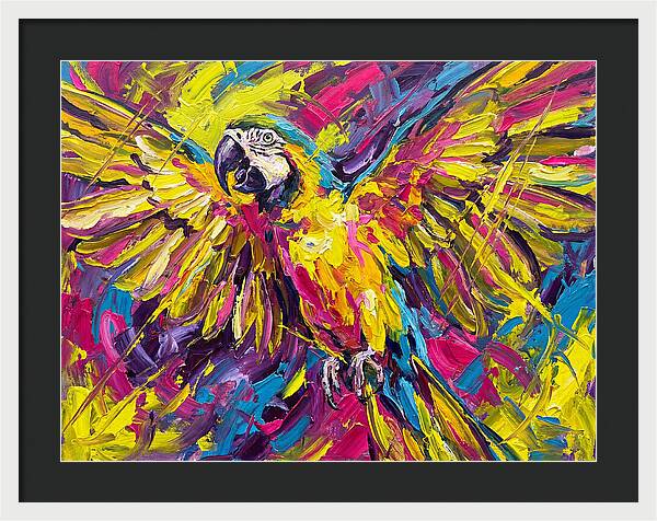 Vibrant Macaw In Flight
