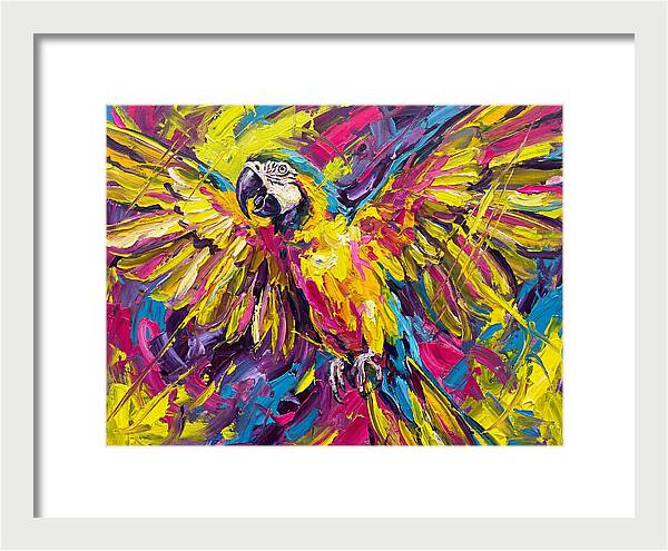 Vibrant Macaw In Flight