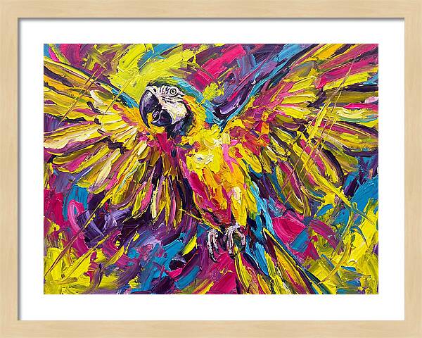 Vibrant Macaw In Flight