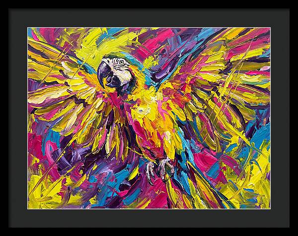 Vibrant Macaw In Flight