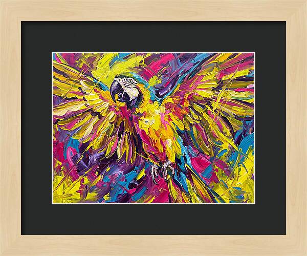 Vibrant Macaw In Flight