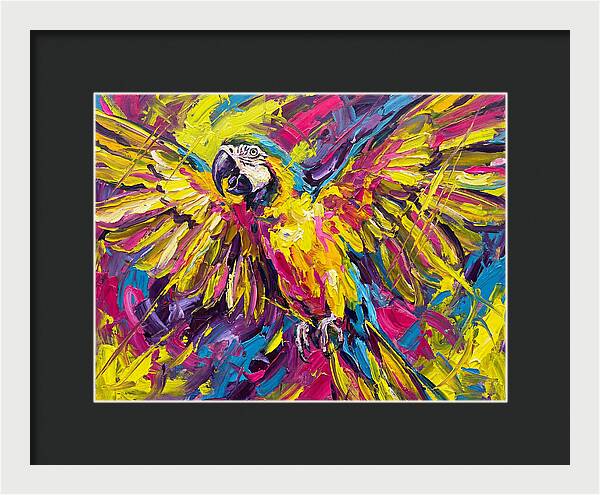 Vibrant Macaw In Flight