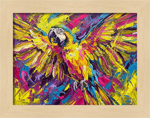 Vibrant Macaw In Flight
