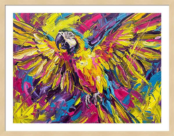 Vibrant Macaw In Flight