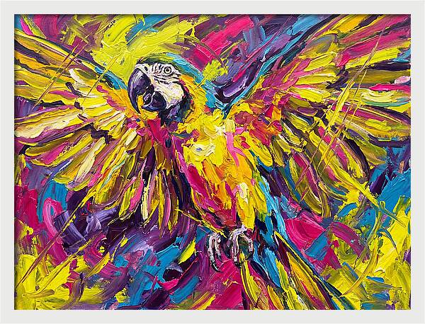 Vibrant Macaw In Flight