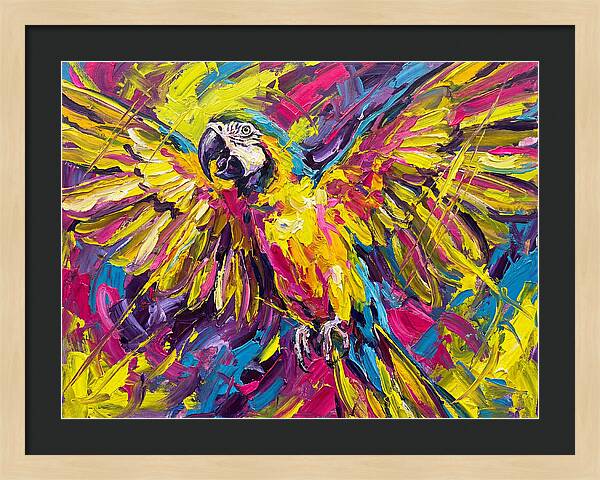 Vibrant Macaw In Flight