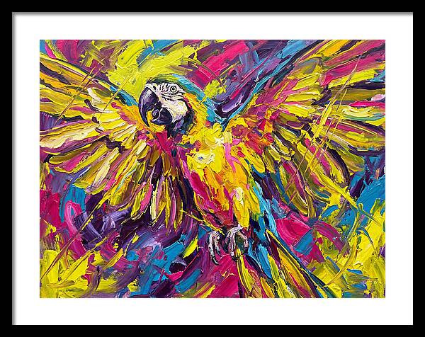 Vibrant Macaw In Flight