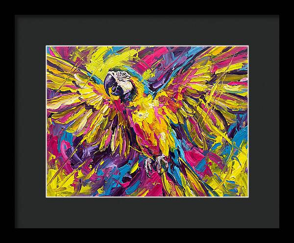 Vibrant Macaw In Flight