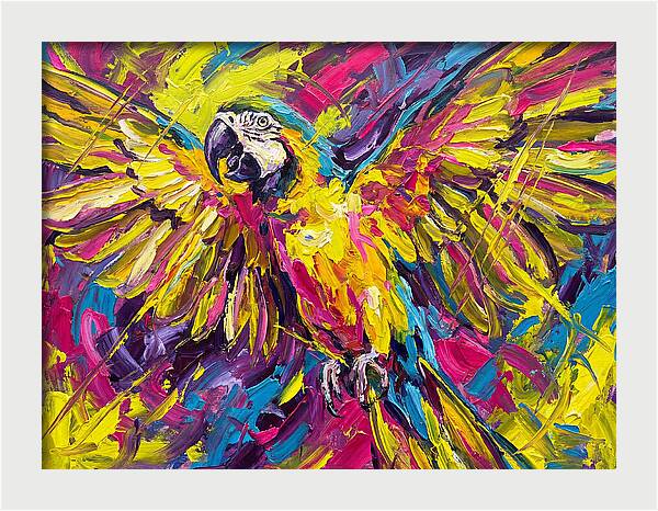 Vibrant Macaw In Flight
