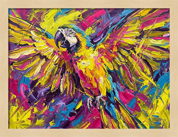 Vibrant Macaw In Flight