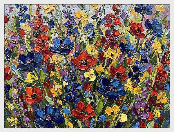 Vibrant Meadow Wildflowers