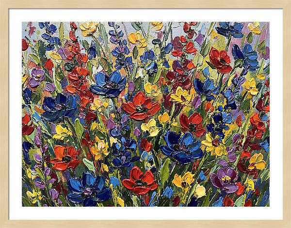 Vibrant Meadow Wildflowers