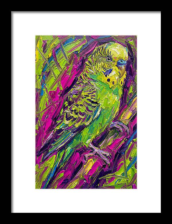 Vibrant Parakeet Portrait