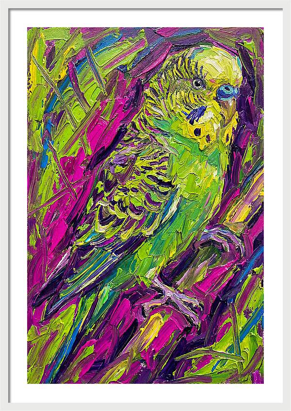 Vibrant Parakeet Portrait