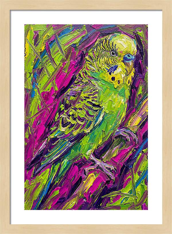 Vibrant Parakeet Portrait