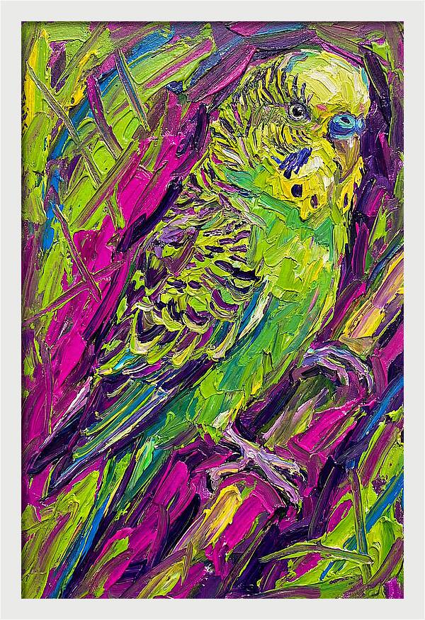 Vibrant Parakeet Portrait