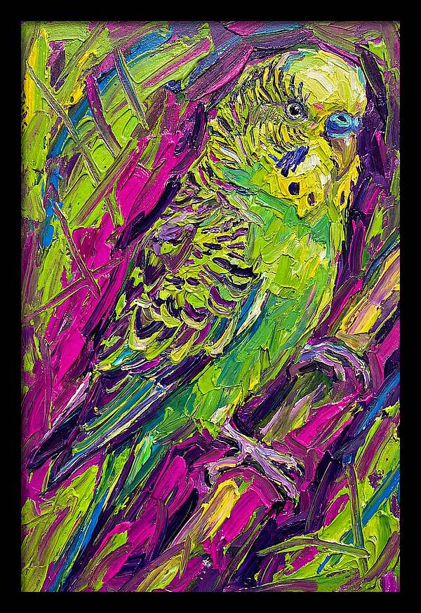 Vibrant Parakeet Portrait