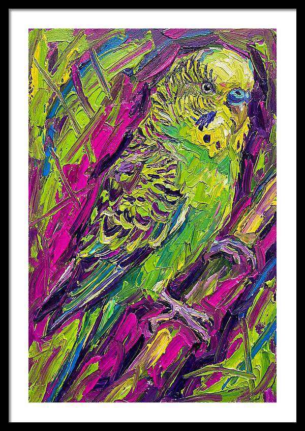 Vibrant Parakeet Portrait