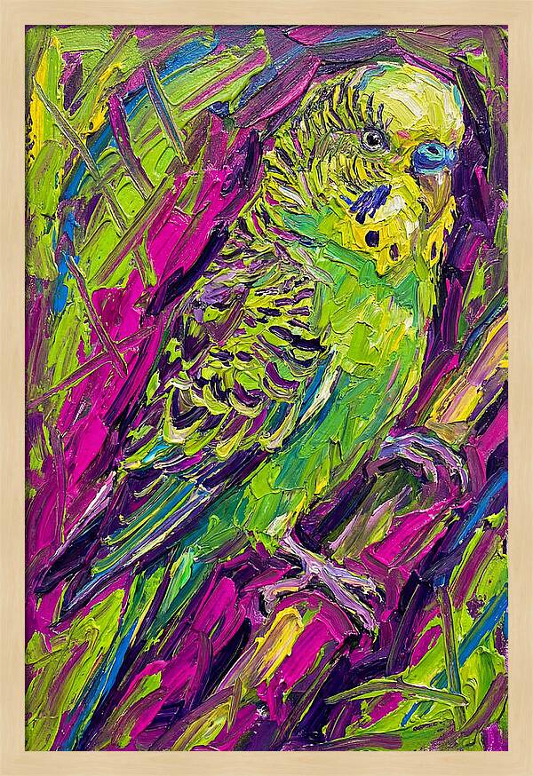 Vibrant Parakeet Portrait