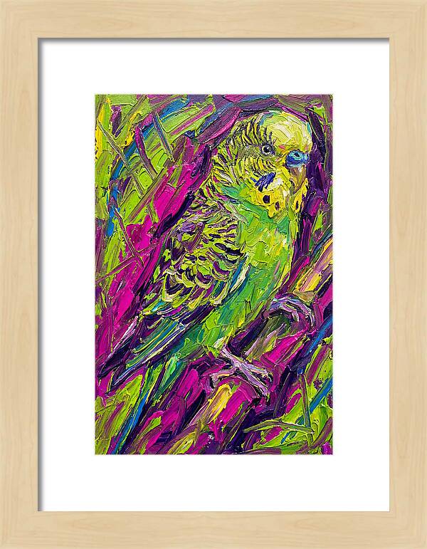 Vibrant Parakeet Portrait