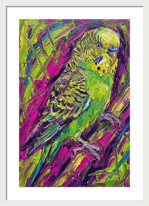 Vibrant Parakeet Portrait