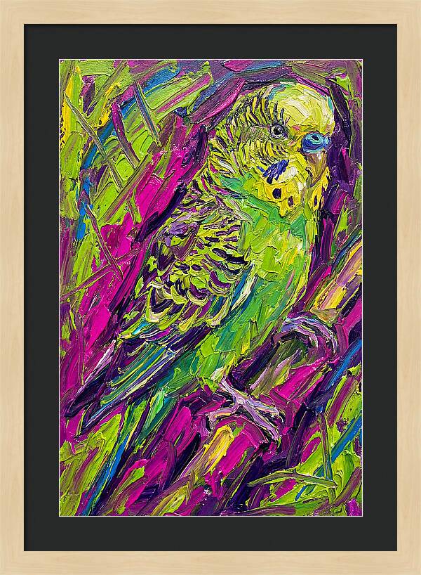 Vibrant Parakeet Portrait