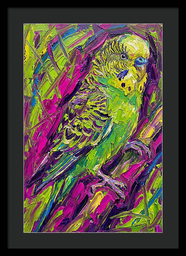 Vibrant Parakeet Portrait