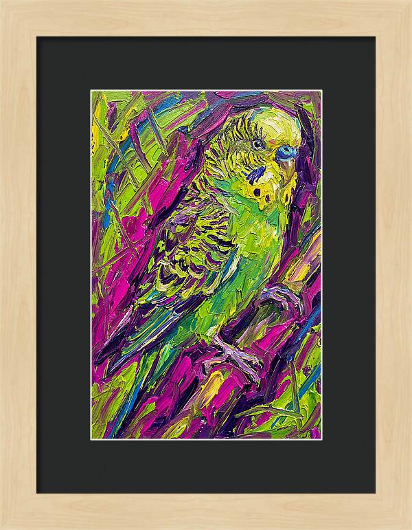 Vibrant Parakeet Portrait