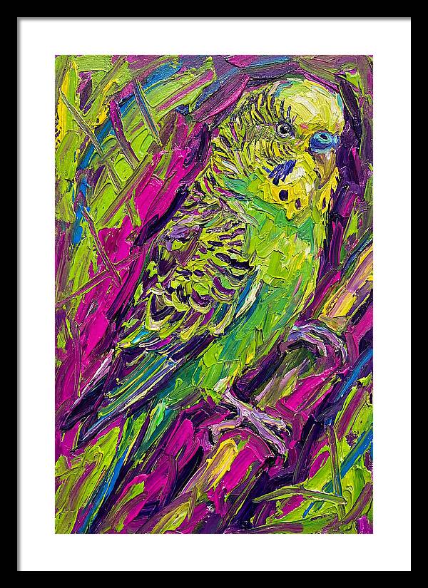 Vibrant Parakeet Portrait