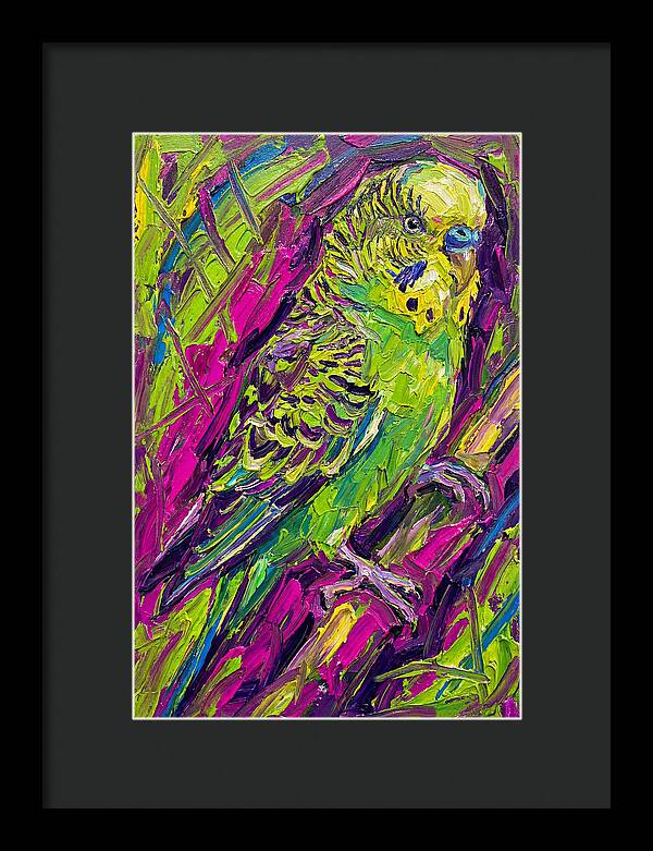 Vibrant Parakeet Portrait