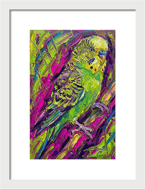 Vibrant Parakeet Portrait