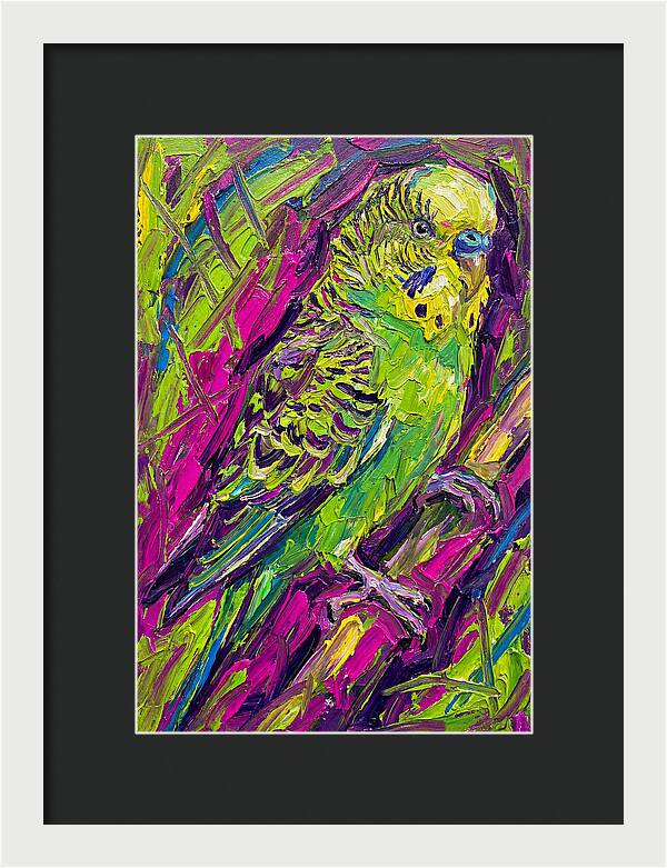 Vibrant Parakeet Portrait