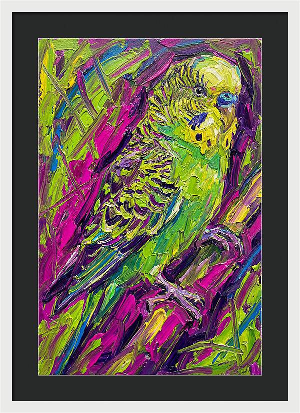 Vibrant Parakeet Portrait