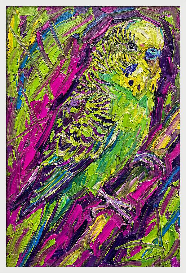 Vibrant Parakeet Portrait