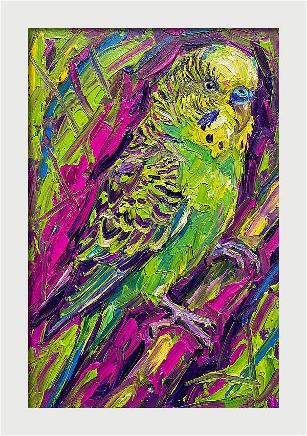 Vibrant Parakeet Portrait