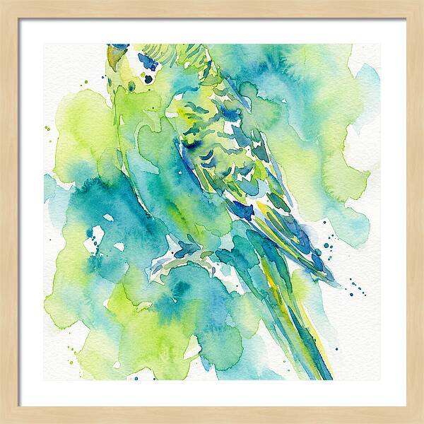 Vibrant Parakeet Watercolor