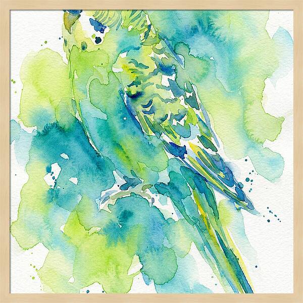 Vibrant Parakeet Watercolor