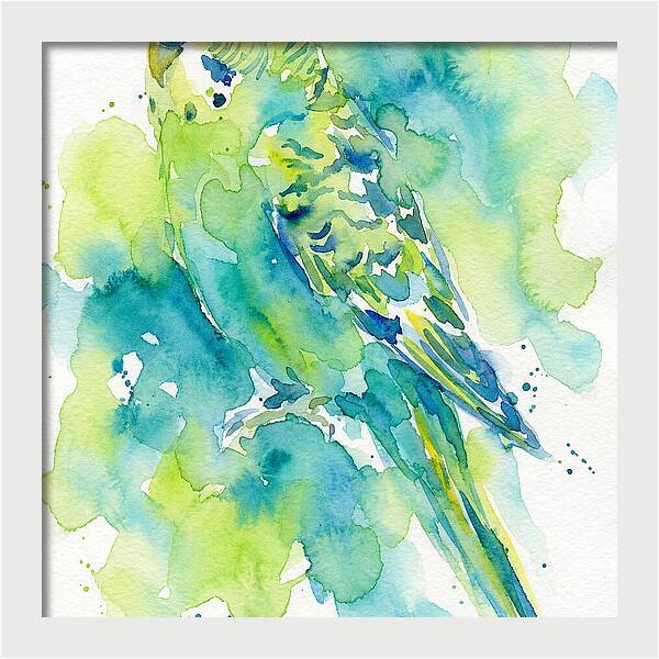 Vibrant Parakeet Watercolor