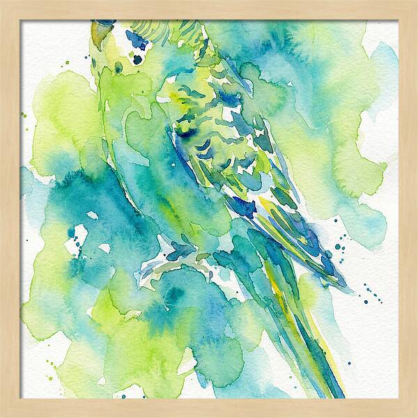 Vibrant Parakeet Watercolor