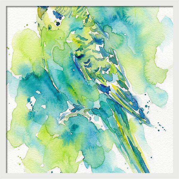 Vibrant Parakeet Watercolor