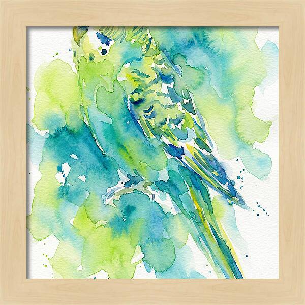 Vibrant Parakeet Watercolor
