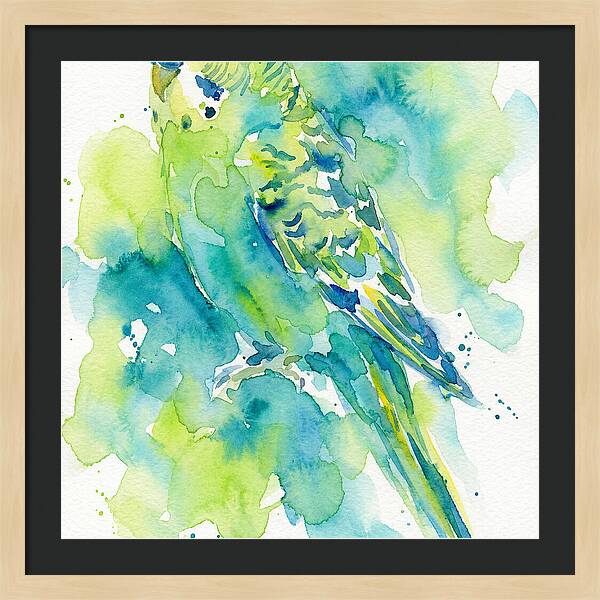 Vibrant Parakeet Watercolor