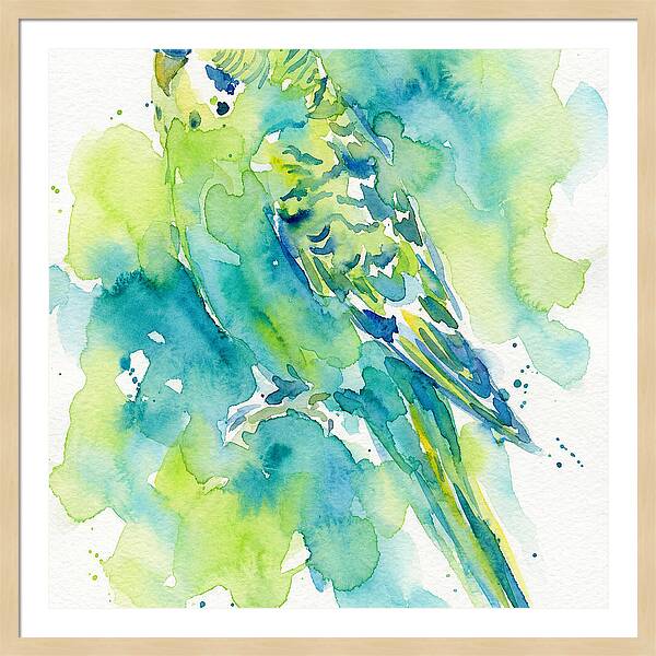 Vibrant Parakeet Watercolor