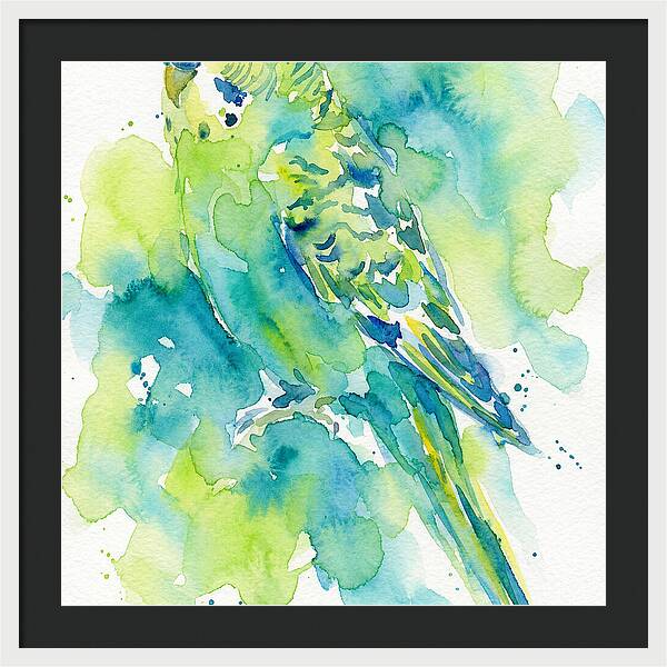 Vibrant Parakeet Watercolor