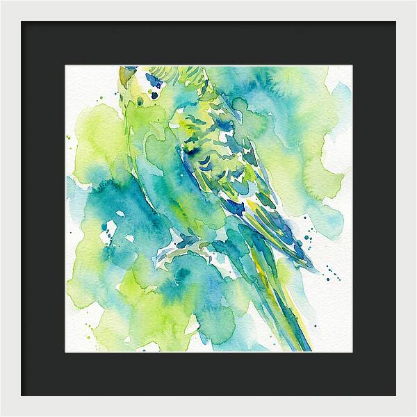 Vibrant Parakeet Watercolor