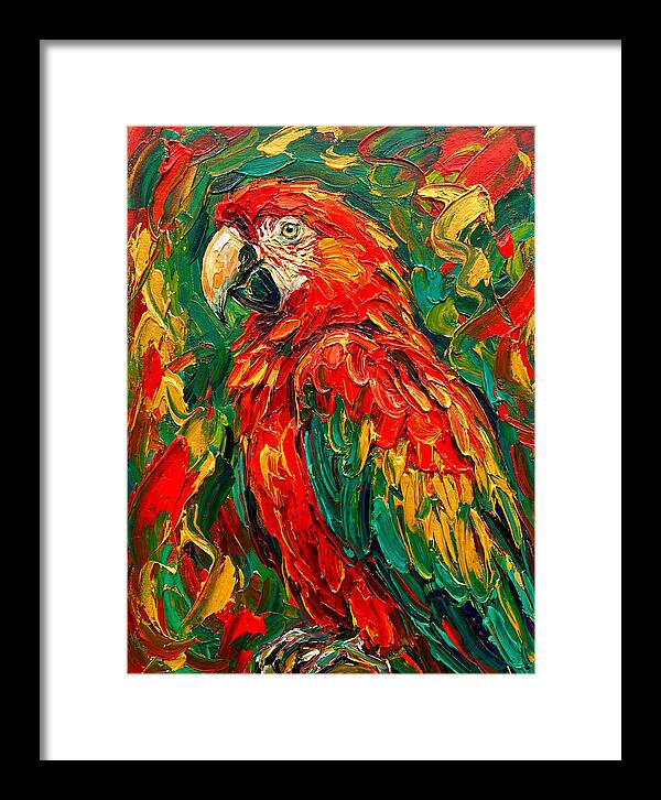 Vibrant Parrot Portrait