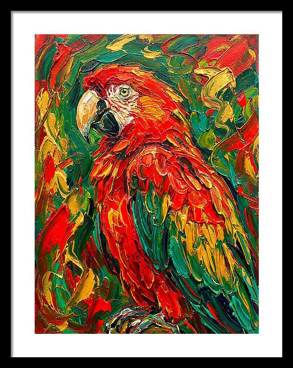 Vibrant Parrot Portrait